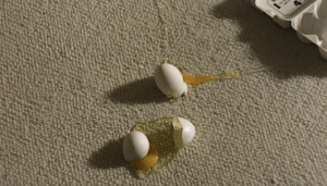 just about the only scene in the film that doesn't make me want to curl up into a ball.