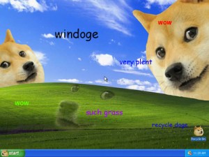 no reason for this picture except that I really like the doge meme. 