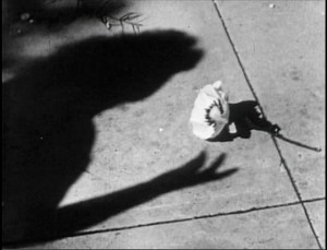 Is it a requirement for all experimental films to feature a flower?