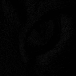 a scene from one of the scarier parts of the film