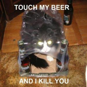 possessed-beer-cat