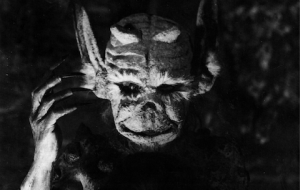 Don't feed after midnight